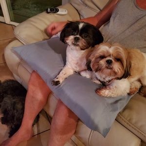 Meet your Posher, Terry